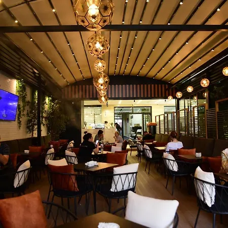 舒适酒店 酒店 4*